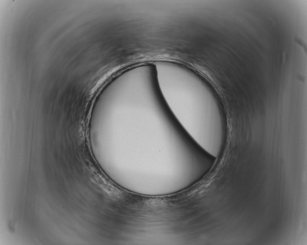 X0000102521212200808081022