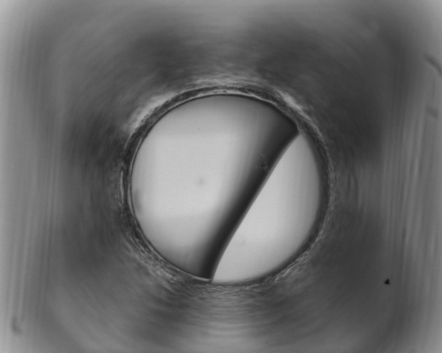 X0000102521214200808081022