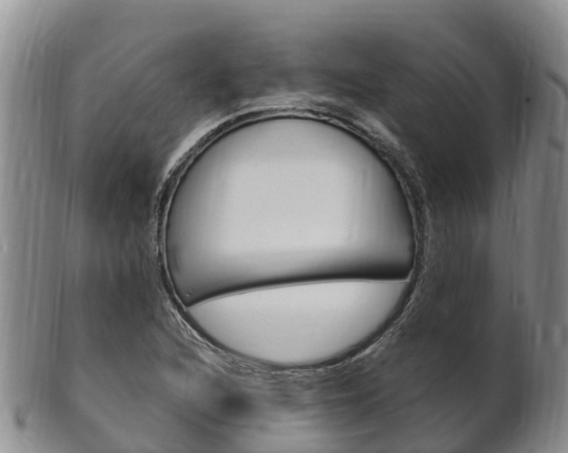 X0000102521216200808081022