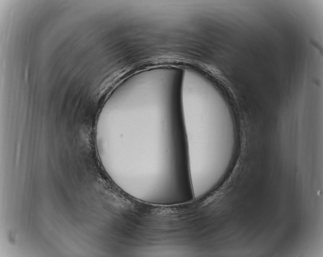 X0000102521217200808081022
