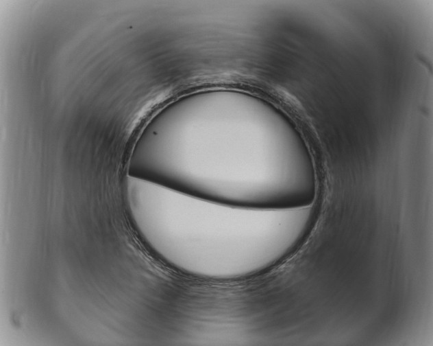 X0000102521218200808081022
