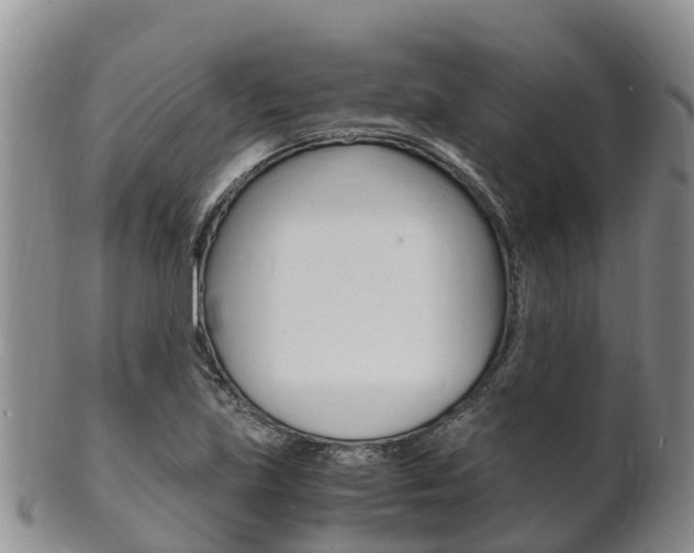 X0000102521219200808081022