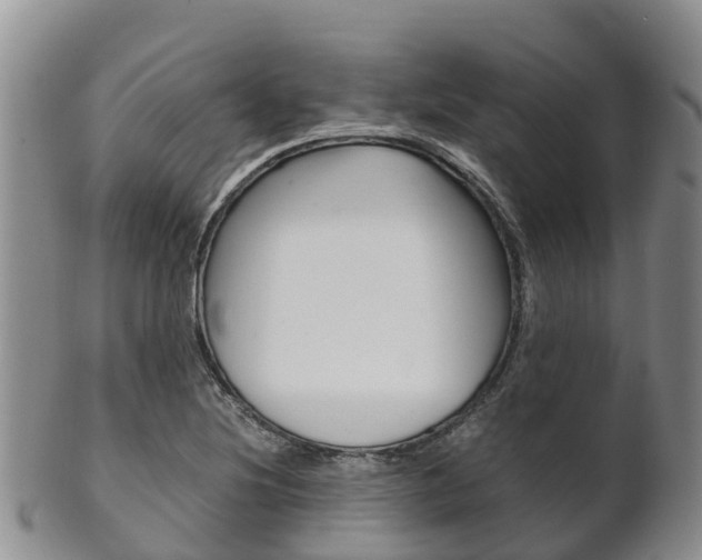 X0000102521220200808081022
