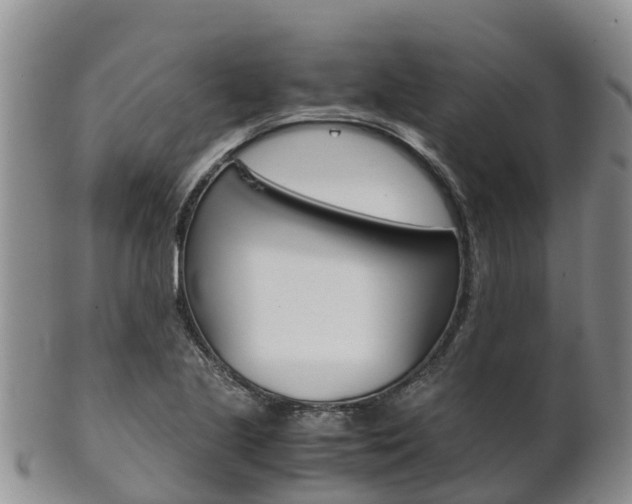 X0000102521221200808081022