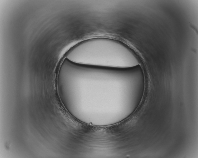 X0000102521222200808081022
