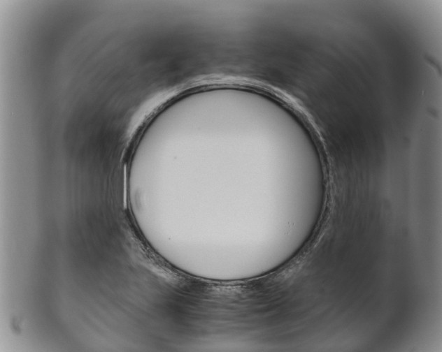X0000102521223200808081022