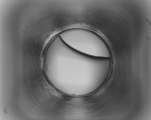 X0000102521224200808081022