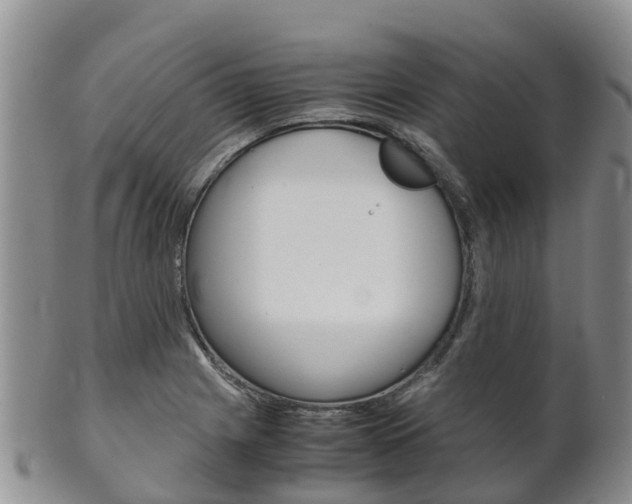 X0000102521225200808081022