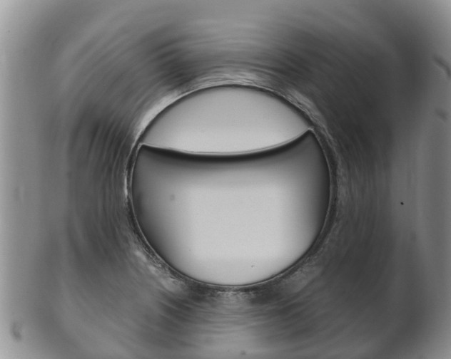 X0000102521226200808081022