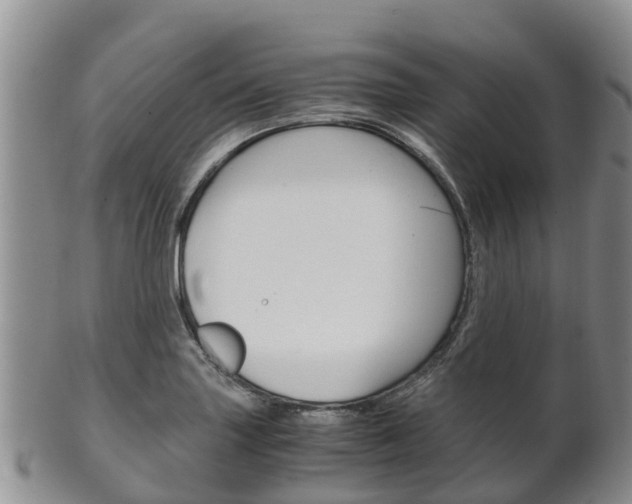 X0000102521227200808081022
