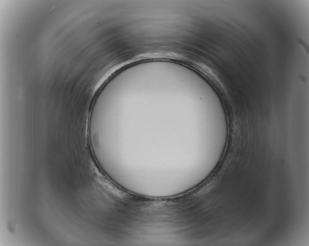 X0000102521228200808081022