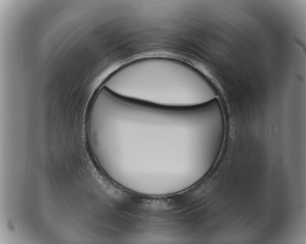 X0000102521229200808081022