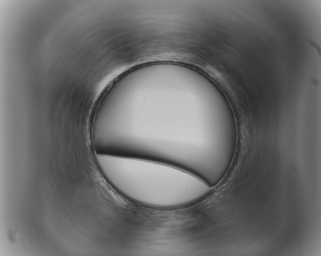 X0000102521230200808081022