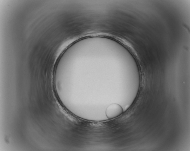 X0000102521231200808081022