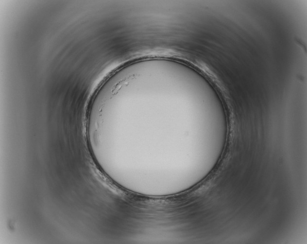 X0000102521232200808081022