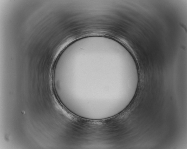 X0000102521235200808081022