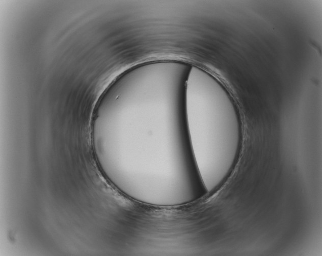 X0000102521236200808081022