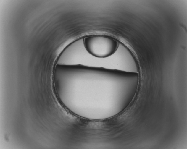 X0000102521237200808081022