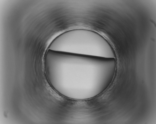 X0000102521238200808081022