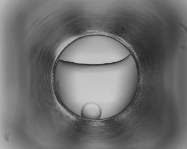 X0000102521239200808081022