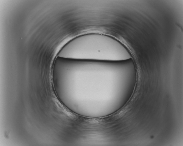 X0000102521240200808081022