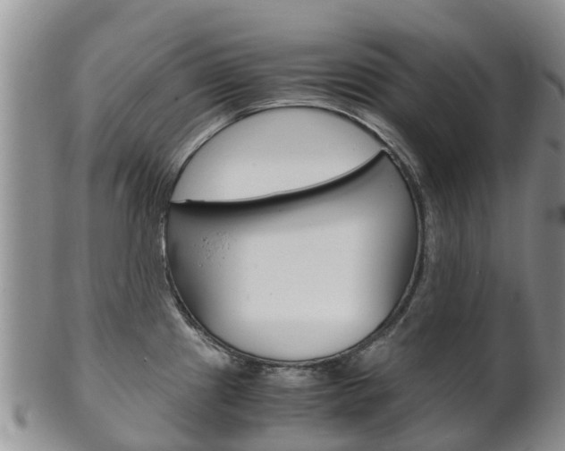 X0000102521241200808081022