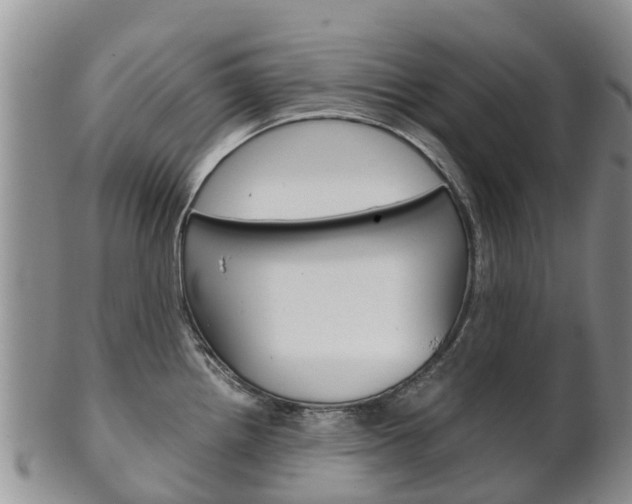X0000102521242200808081022