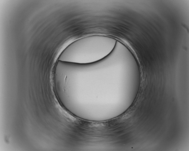 X0000102521243200808081022