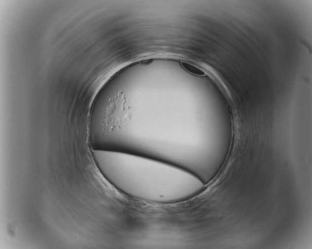 X0000102521244200808081022