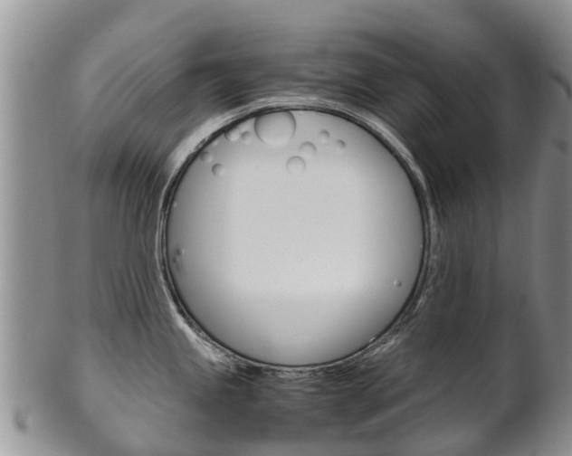 X0000102521245200808081022