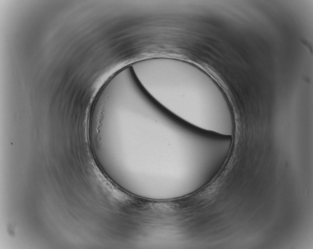 X0000102521246200808081022