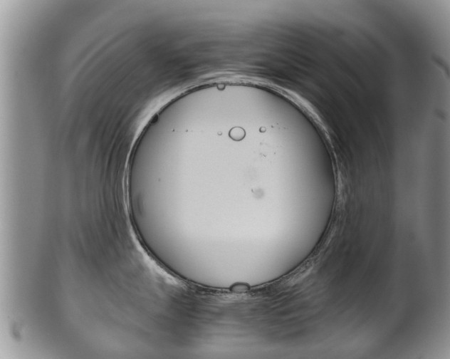 X0000102521247200808081022