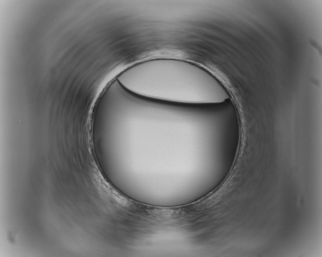 X0000102521248200808081022