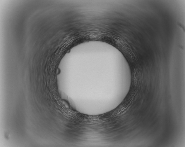 X0000102521249200808081022