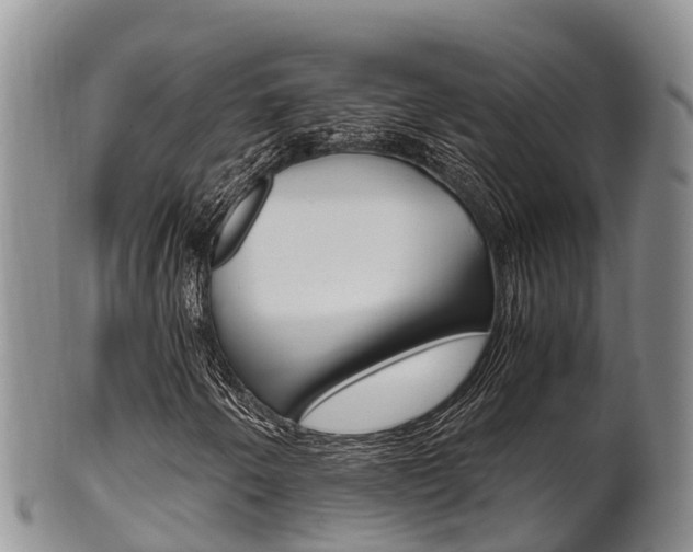 X0000102521250200808081022