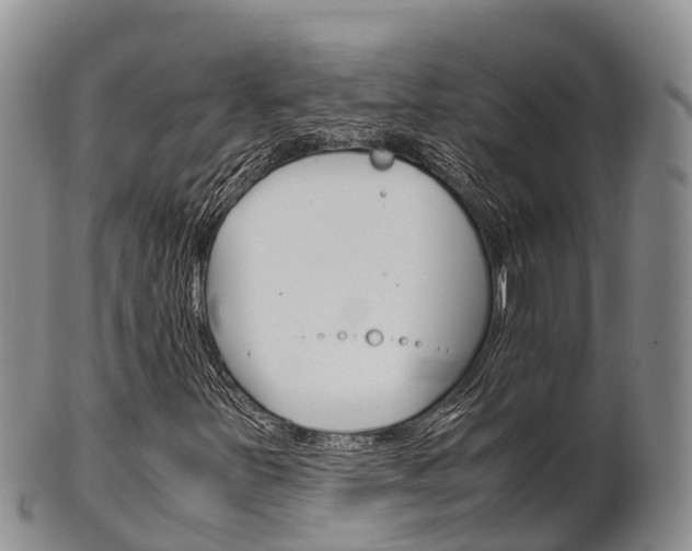X0000102521251200808081022