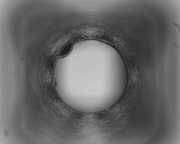 X0000102521253200808081022
