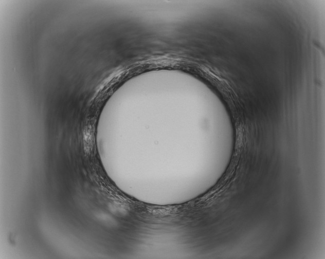 X0000102521254200808081022