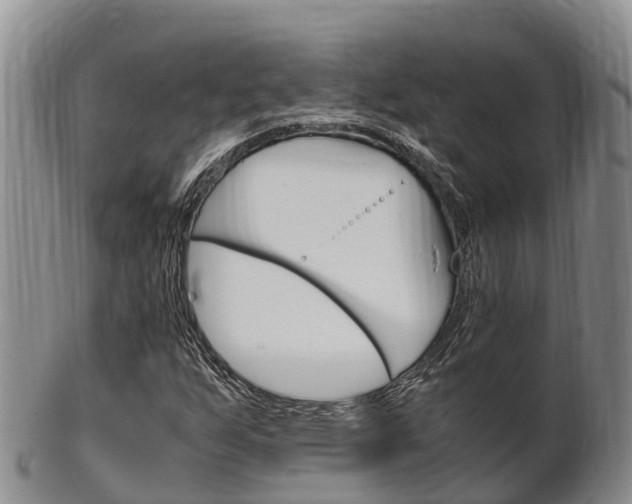 X0000102521255200808081021