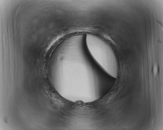 X0000102521256200808081021