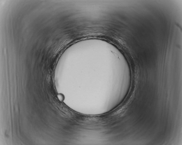 X0000102521257200808081021
