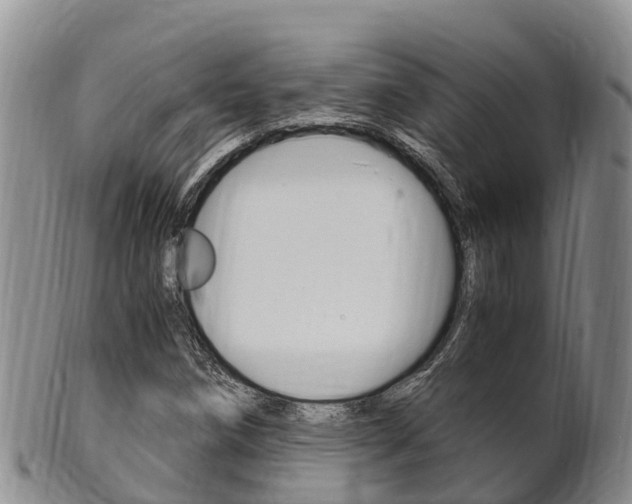 X0000102521258200808081021