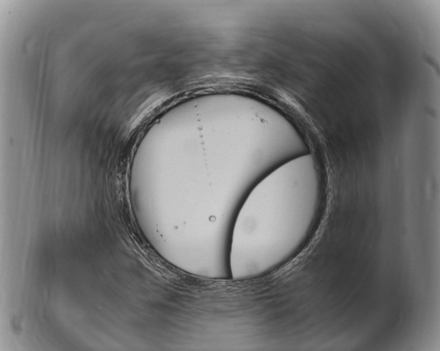 X0000102521259200808081021