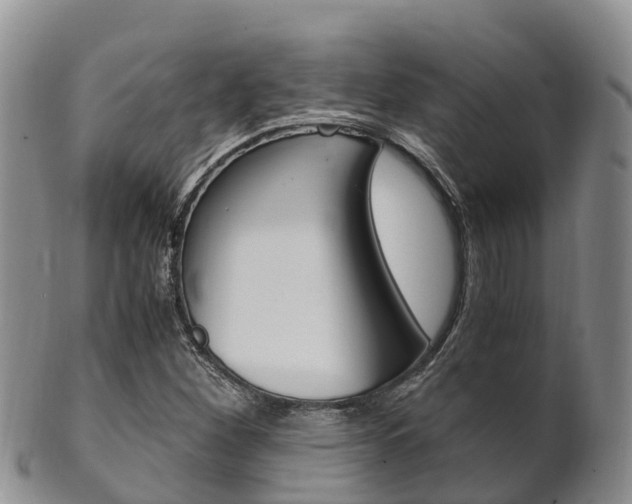 X0000102521260200808081021