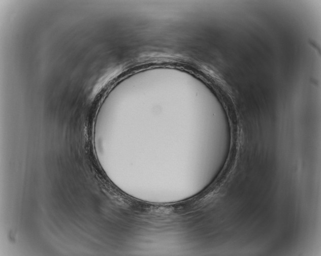 X0000102521261200808081021