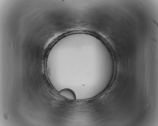 X0000102521262200808081021