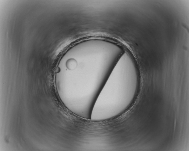 X0000102521263200808081021