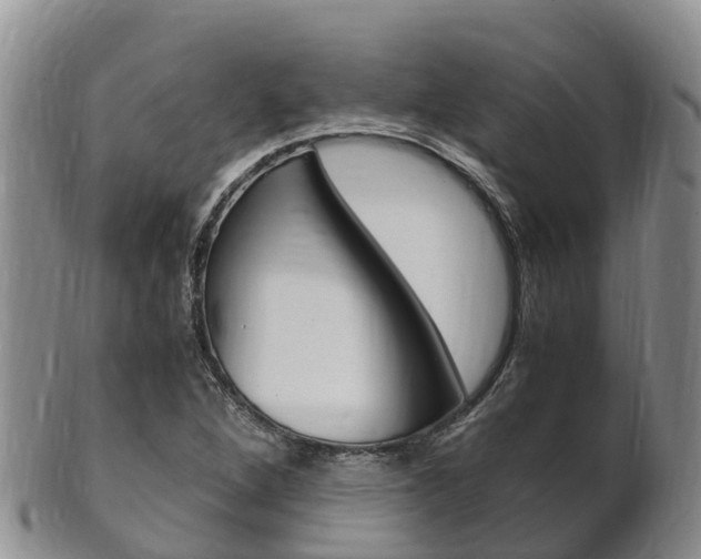 X0000102521264200808081021