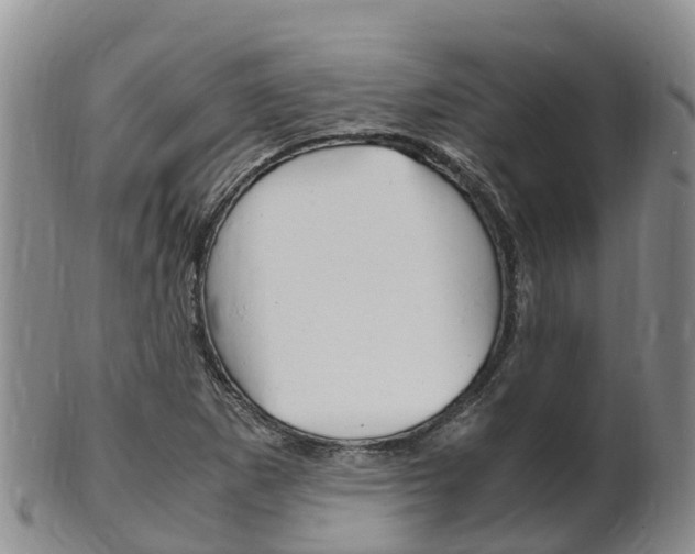 X0000102521265200808081021