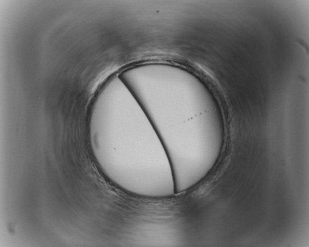 X0000102521267200808081021